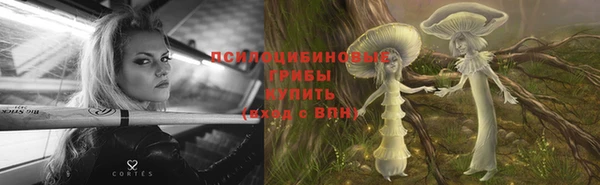 амф Верея