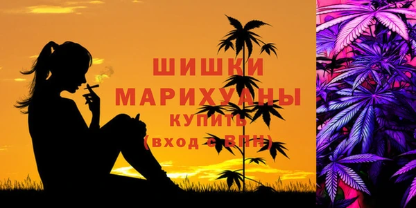 амф Верея