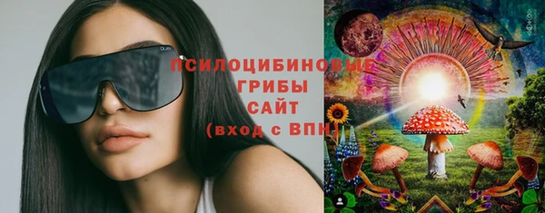 амф Верея