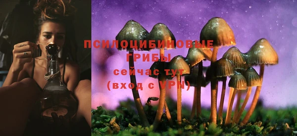 первитин Володарск