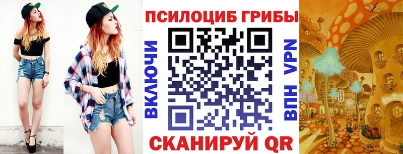Псилоцибиновые грибы Psilocybe  как найти наркотики  Приволжский 